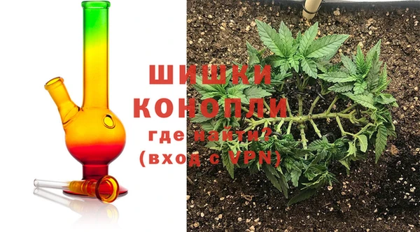 прущая мука Вяземский
