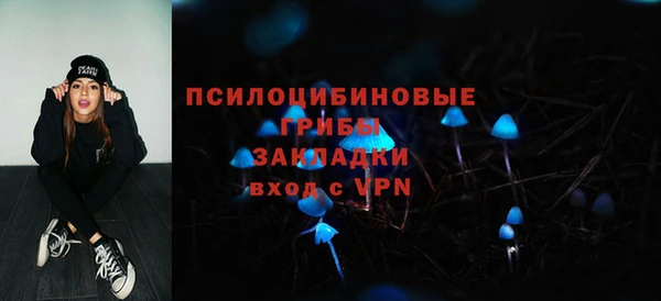 МДПВ Вязьма