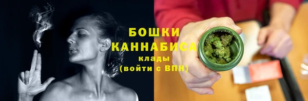 прущая мука Вяземский