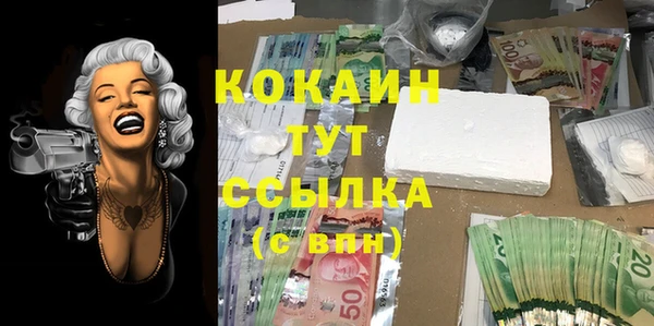 МДПВ Вязьма