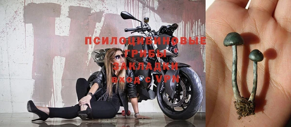 МДПВ Вязьма