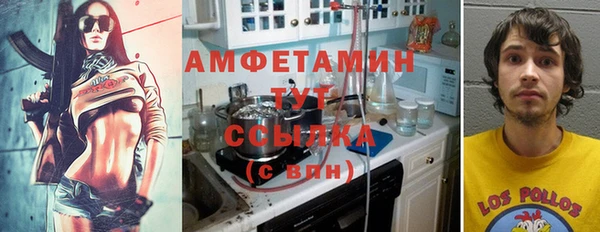 прущая мука Вяземский