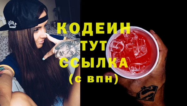 прущая мука Вяземский