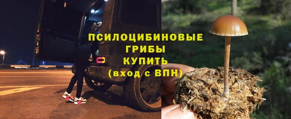 МДПВ Вязьма