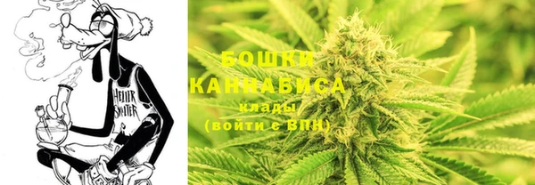 сатива Горно-Алтайск