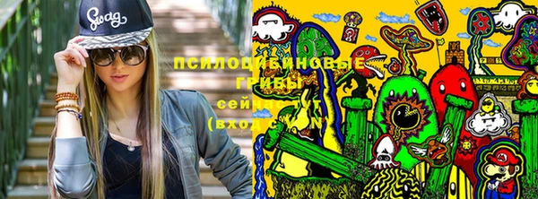 прущая мука Вяземский