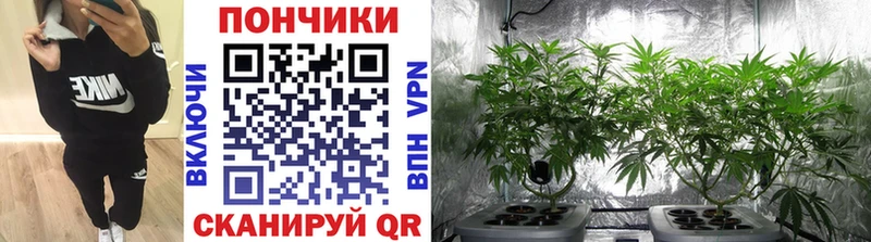 Конопля THC 21%  Купить  Кизляр 